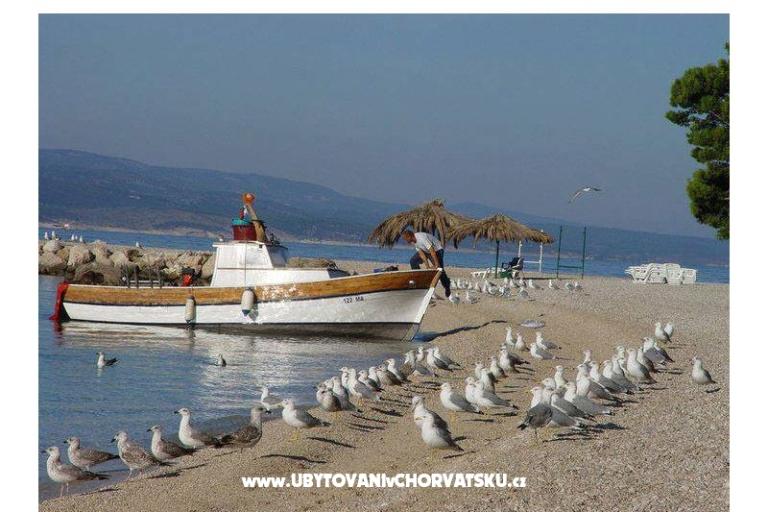 Apartmány Milić Promajna – foto 17