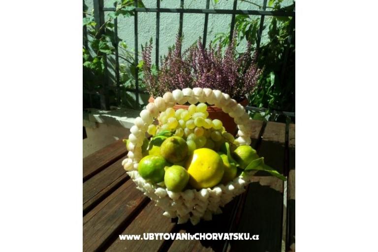 Apartmány Pavić Promajna – foto 8