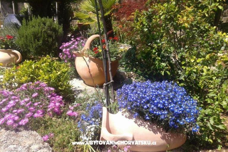 Apartmány Sulic-Krvavica – foto 24