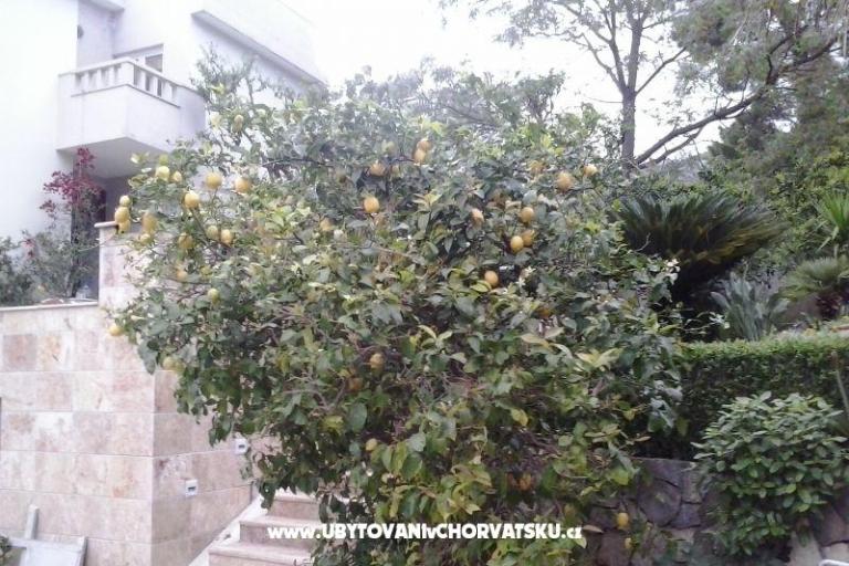 Apartmány Sulic-Krvavica – foto 26