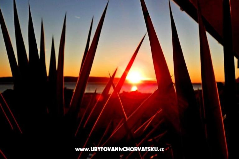 Apartmán Rose – foto 14