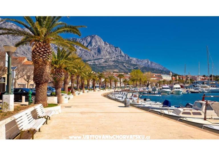 Bukovac – foto 14
