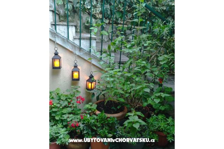 Bukovac – foto 18