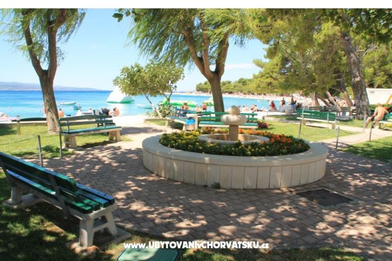 Dům Veronika – foto 20