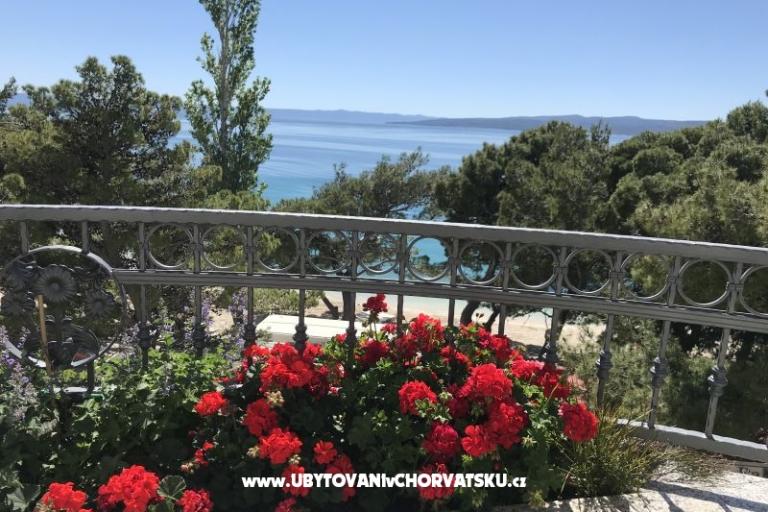 Dům Veronika – foto 5