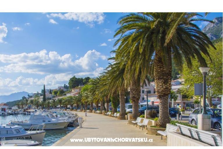 Dům Jurisic – foto 18