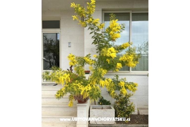 Dům Grazia – foto 7