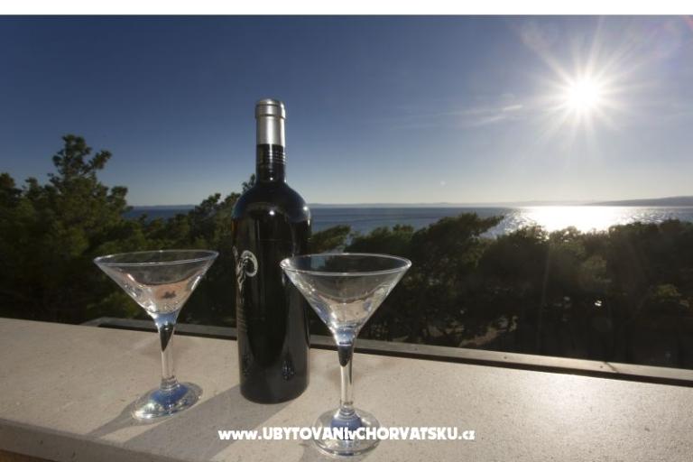 Vila Ivandic Promajna – foto 17