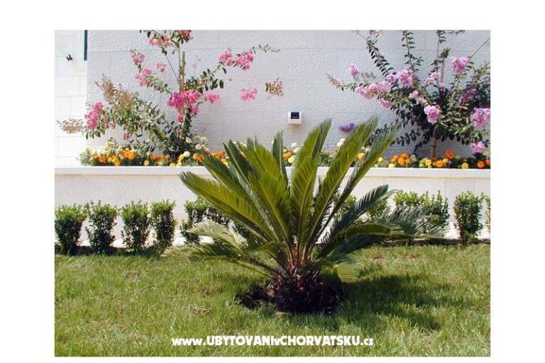 Villa Ana – foto 10