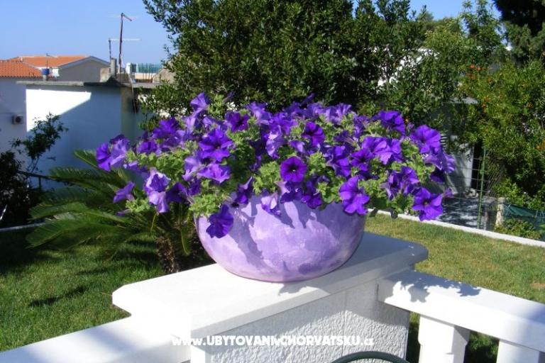 Villa Ana – foto 12