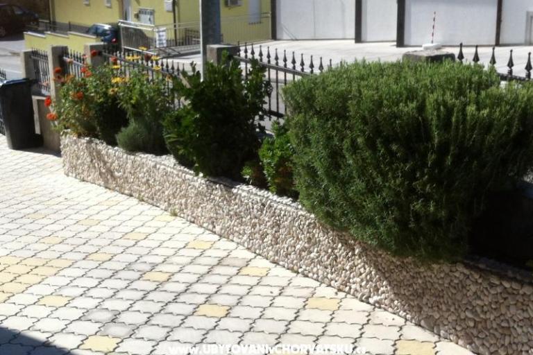 Villa Marija – foto 10