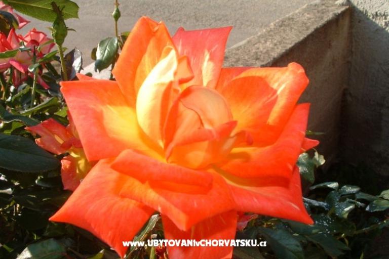 Apartmány Želo – foto 4