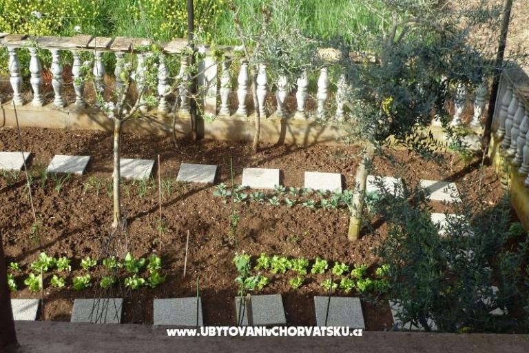 Apartmán Petar i Agica Sabljak – foto 14