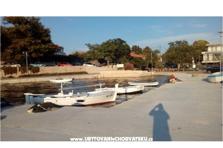 APARTMAN PAULINA/BIBINJE:4+2/STUDIO – foto 18