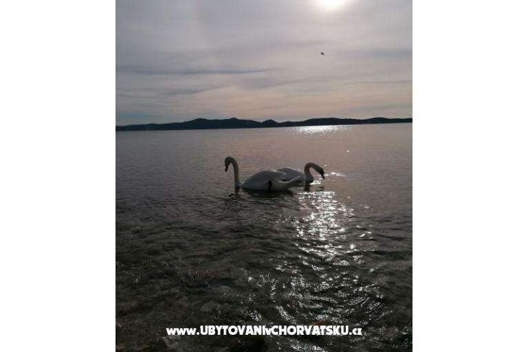 Apartmány Vinko – foto 13
