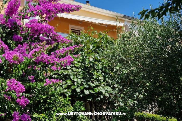 Apartmán Mara – foto 10