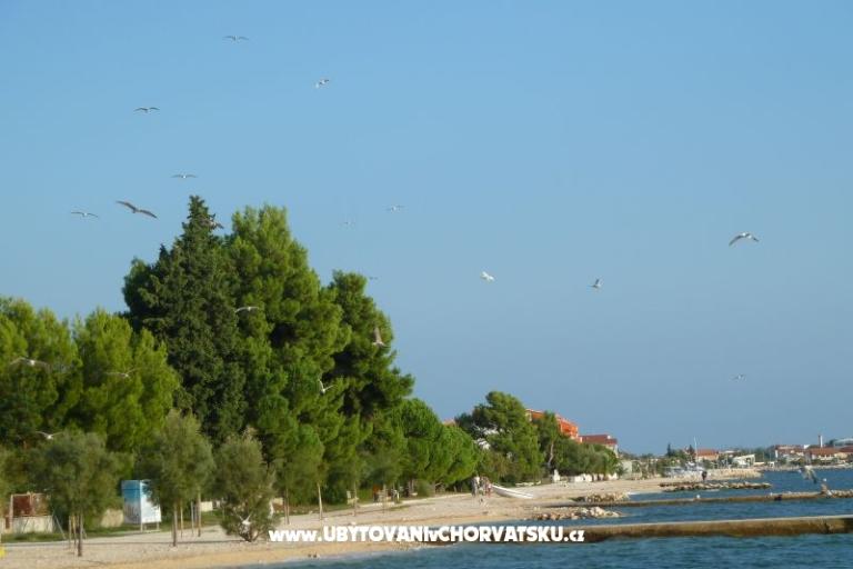 Bibinje Apartmány – foto 11