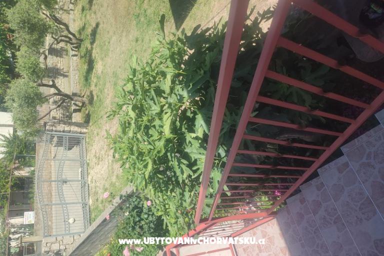 Apartmán Cvita – foto 5