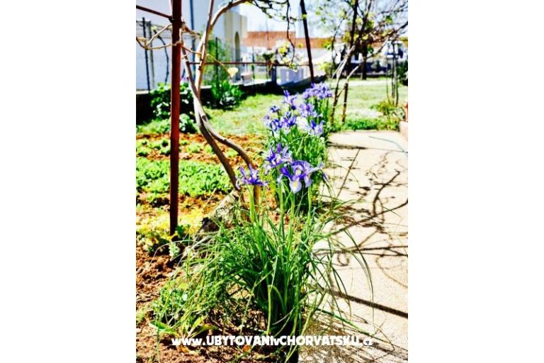 Apartmány Grcić – foto 15