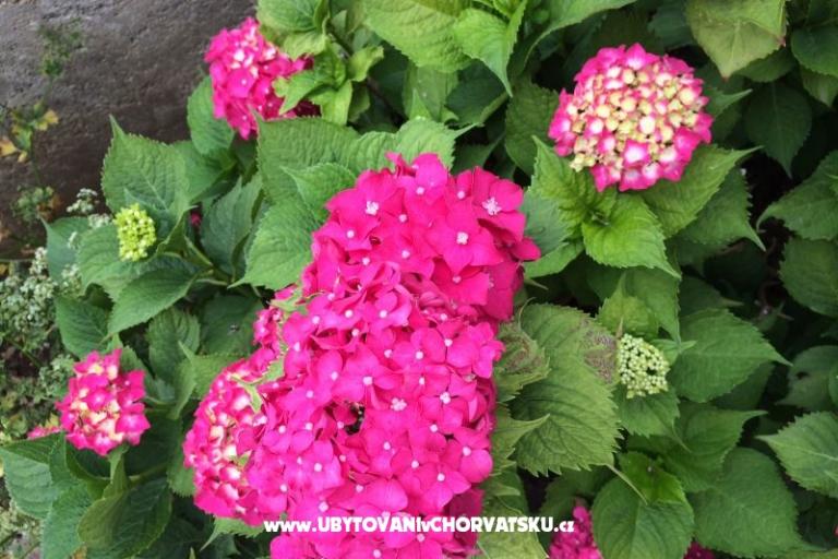 Apartmány Jurov – foto 15