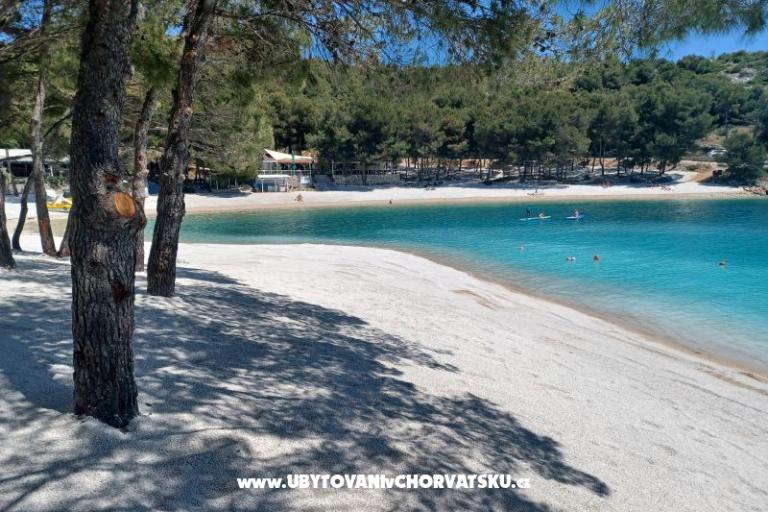 Apartmány KIKO - Drage – foto 4