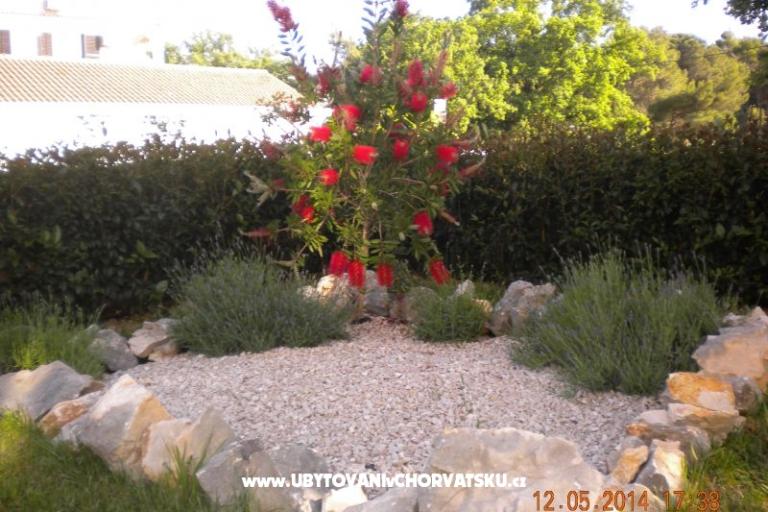 Apartmány M&amp;M – foto 10