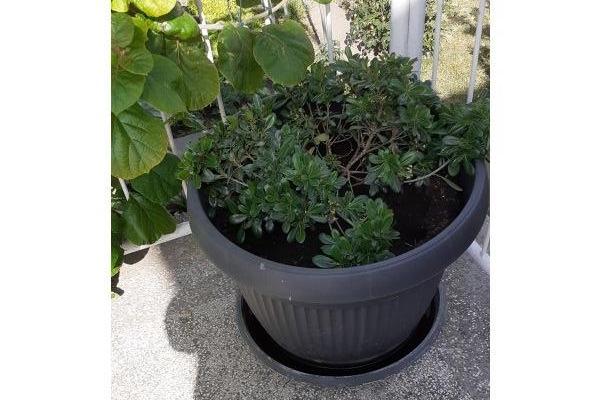 Apartmány Margarita – foto 2