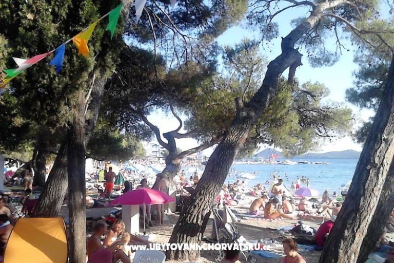 VILLA BERNARD..150 m plaža DRAŽICA – foto 11