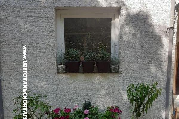 VILLA BERNARD..150 m plaža DRAŽICA – foto 4