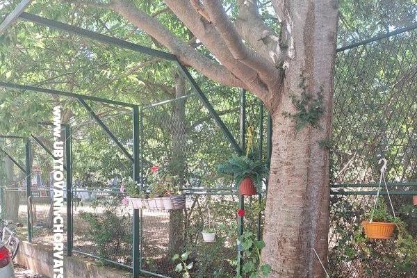 VILLA BERNARD..150 m plaža DRAŽICA – foto 50