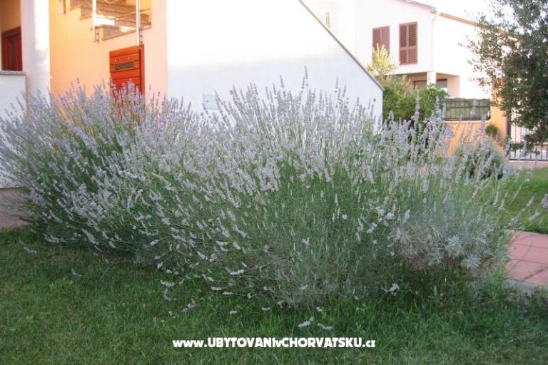 Apartmány Blandona – foto 7