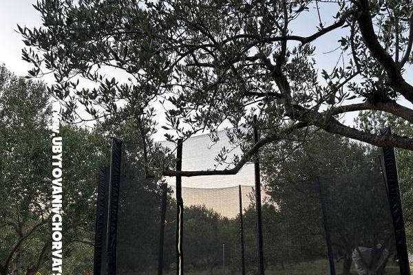 Primorje – foto 11