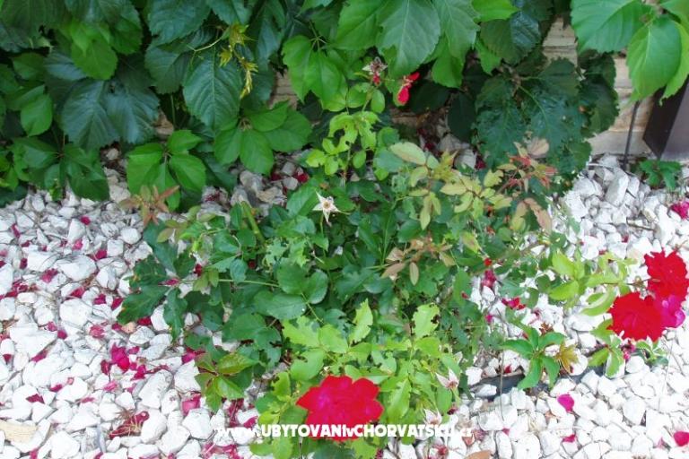 Villa Toni – foto 15