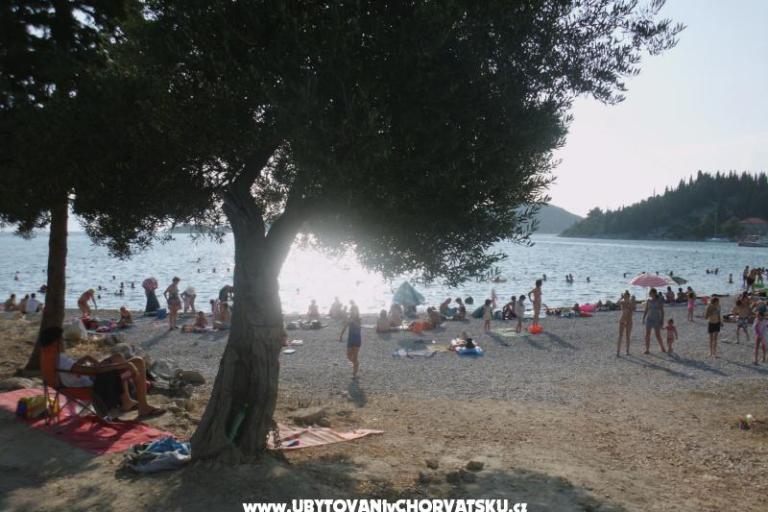 Apartmány  Petar – foto 4