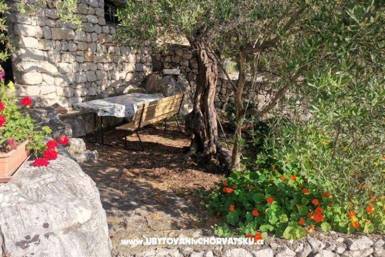 Apartmány Maja – foto 19