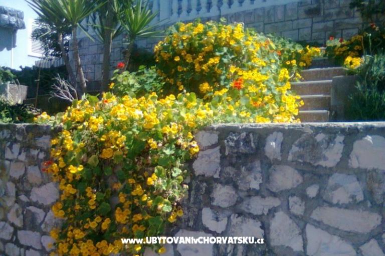 Apartmány M  – foto 6