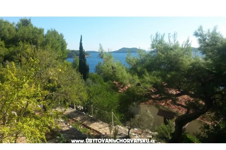 Pera Apartmány – foto 18