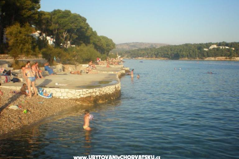 Apartmán Anđela – foto 3