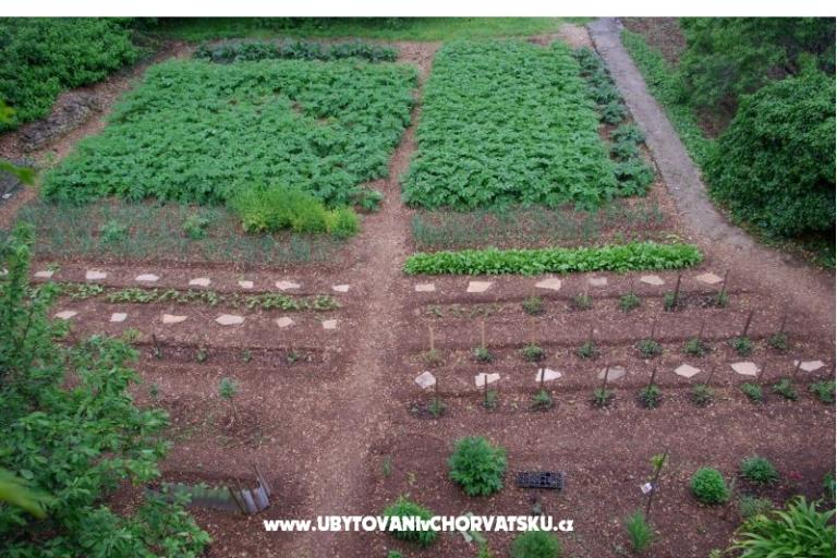 Apartmán Srdjana – foto 5