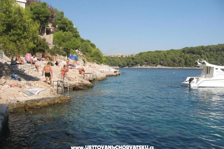 Apartmány Bili Milna Osibova – foto 7