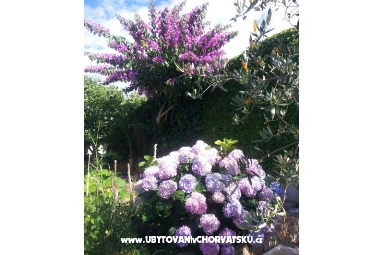 Apartmány Kunac – foto 8