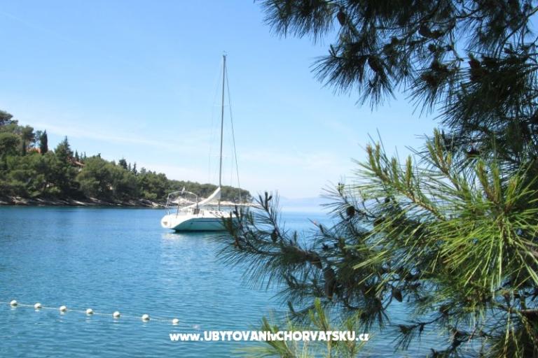 Apartmány Miha – foto 18