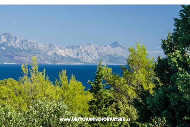 Apartmány Silva – foto 10