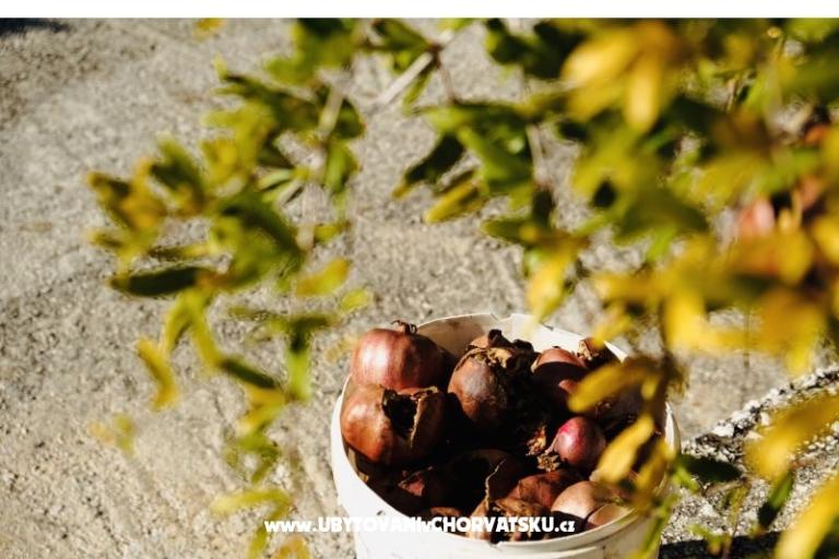 Apartmány Tonika – foto 10