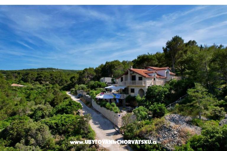 Apartmány Villa Dragica – foto 5