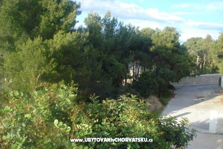 Apartmány Vladislavic – foto 8