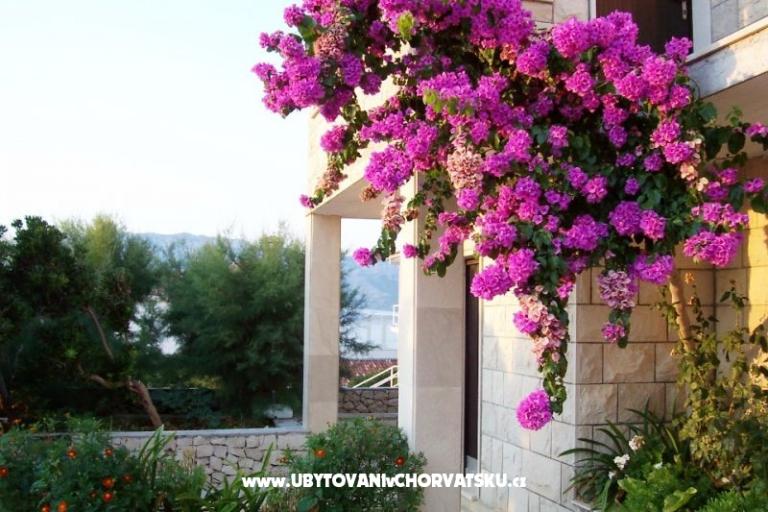 Apartmány Villa Vanja – foto 6