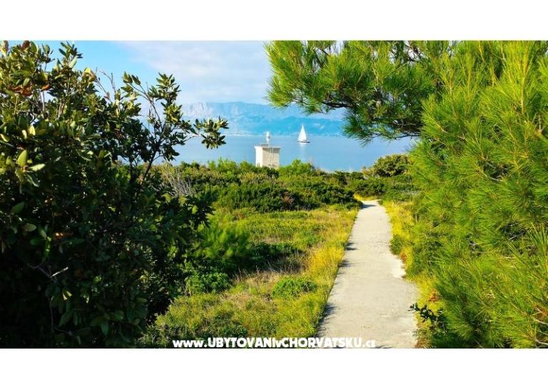 Dům k odpočinku Doda uvala Tičja Luka – foto 18