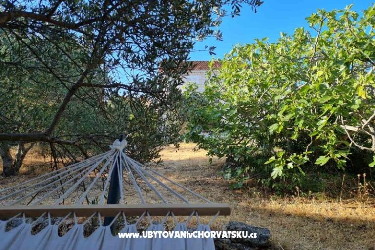 Garden Dům Sutivan – foto 6