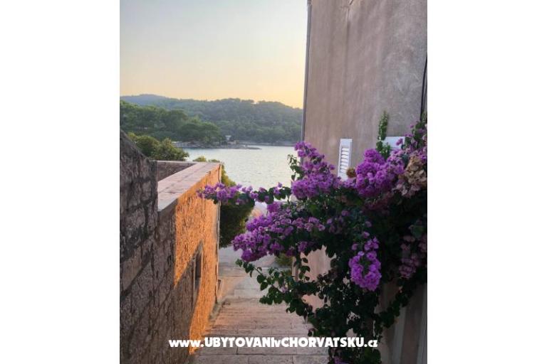 Dům Ankica – foto 21